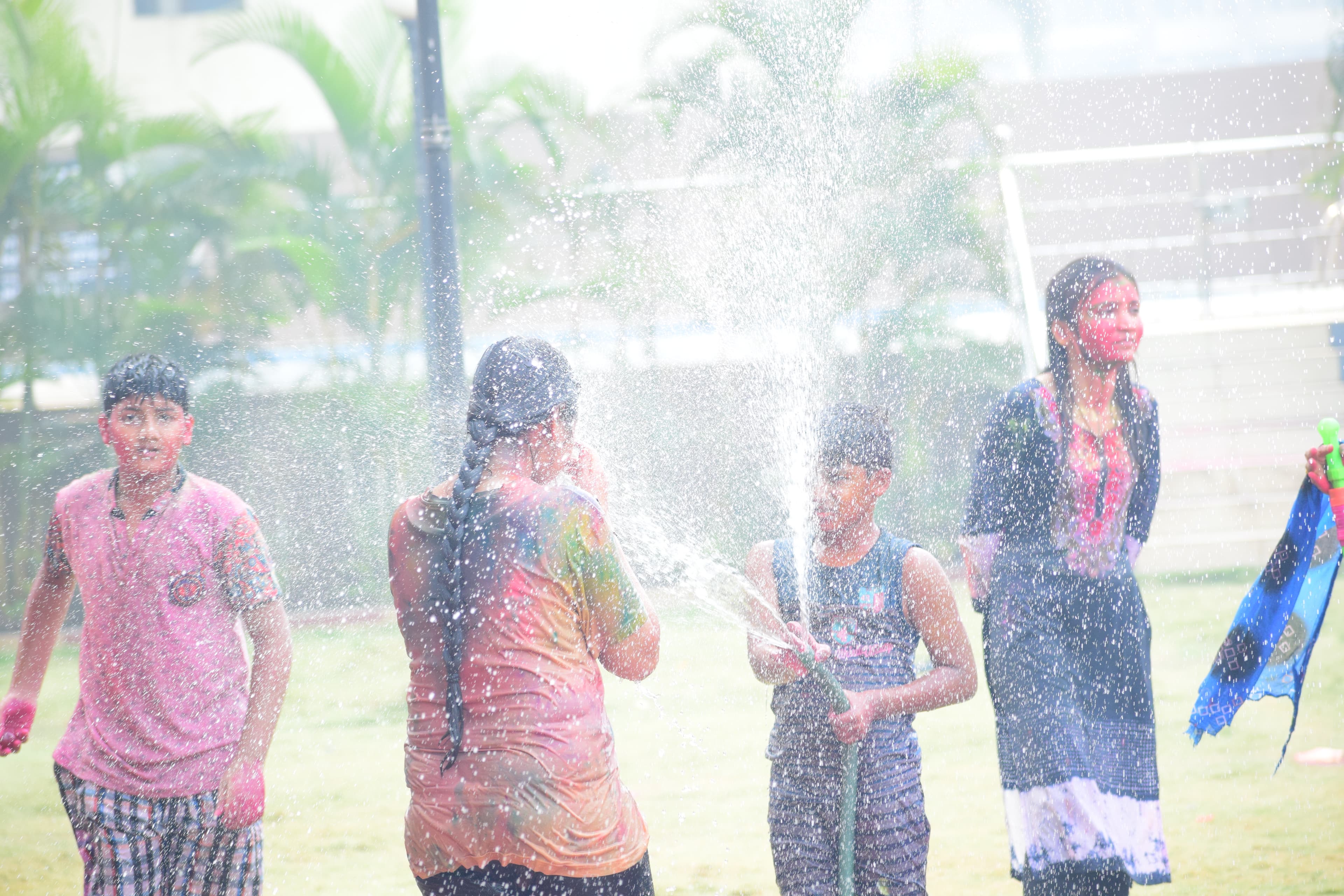 Family Celebration in Spray
