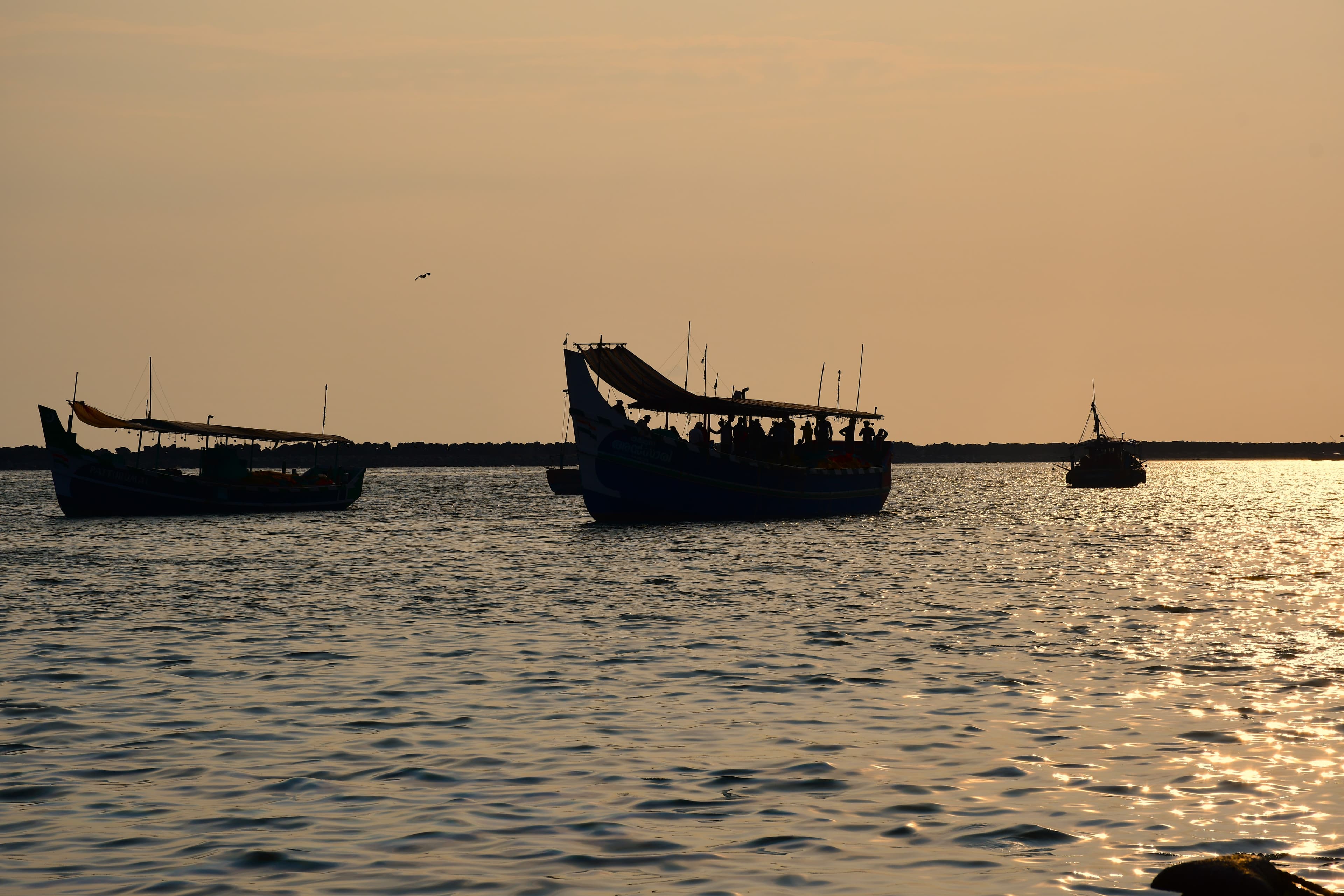 Fishing Boats at Golden Hour