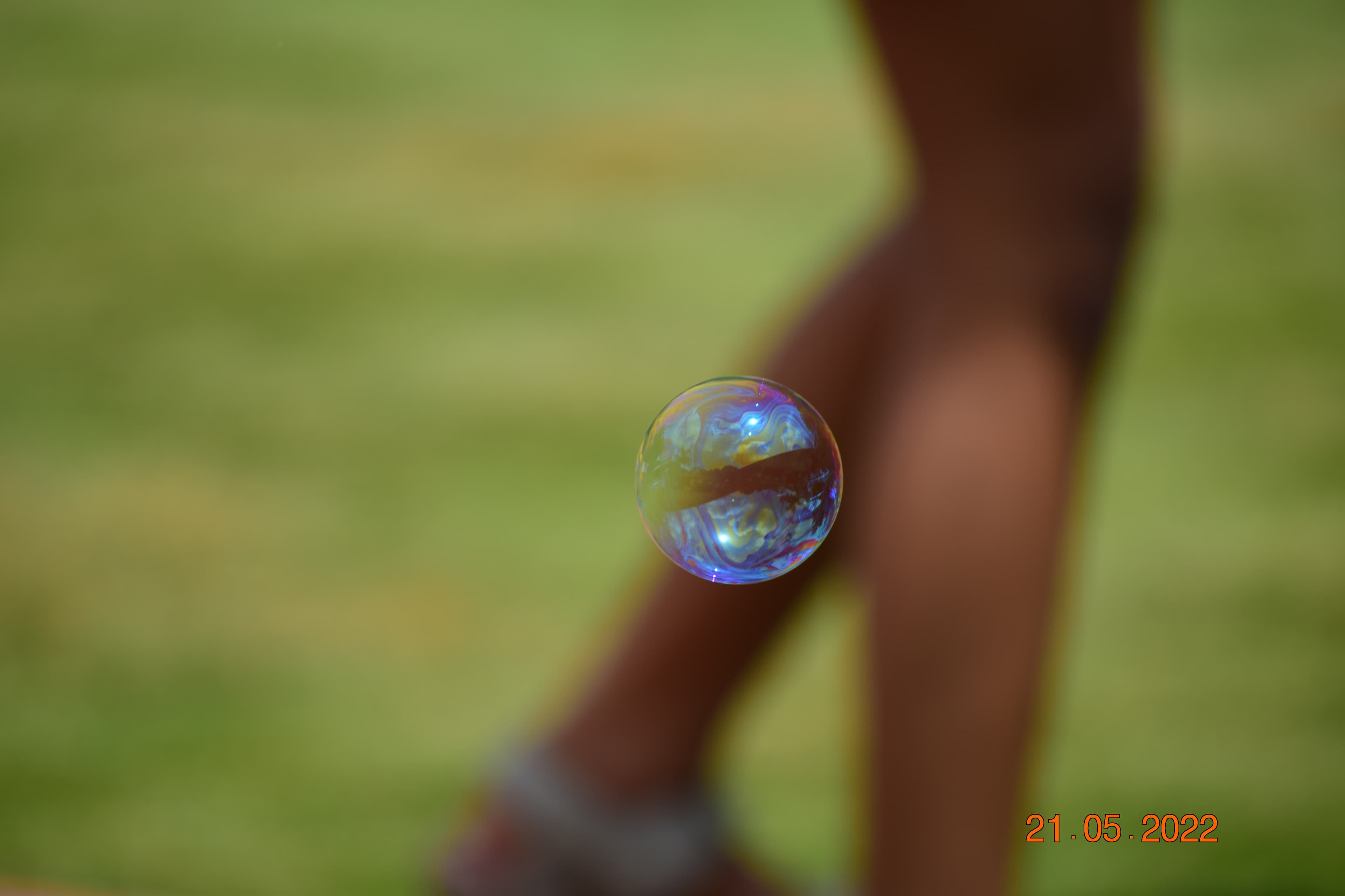 Floating Bubble in Focus