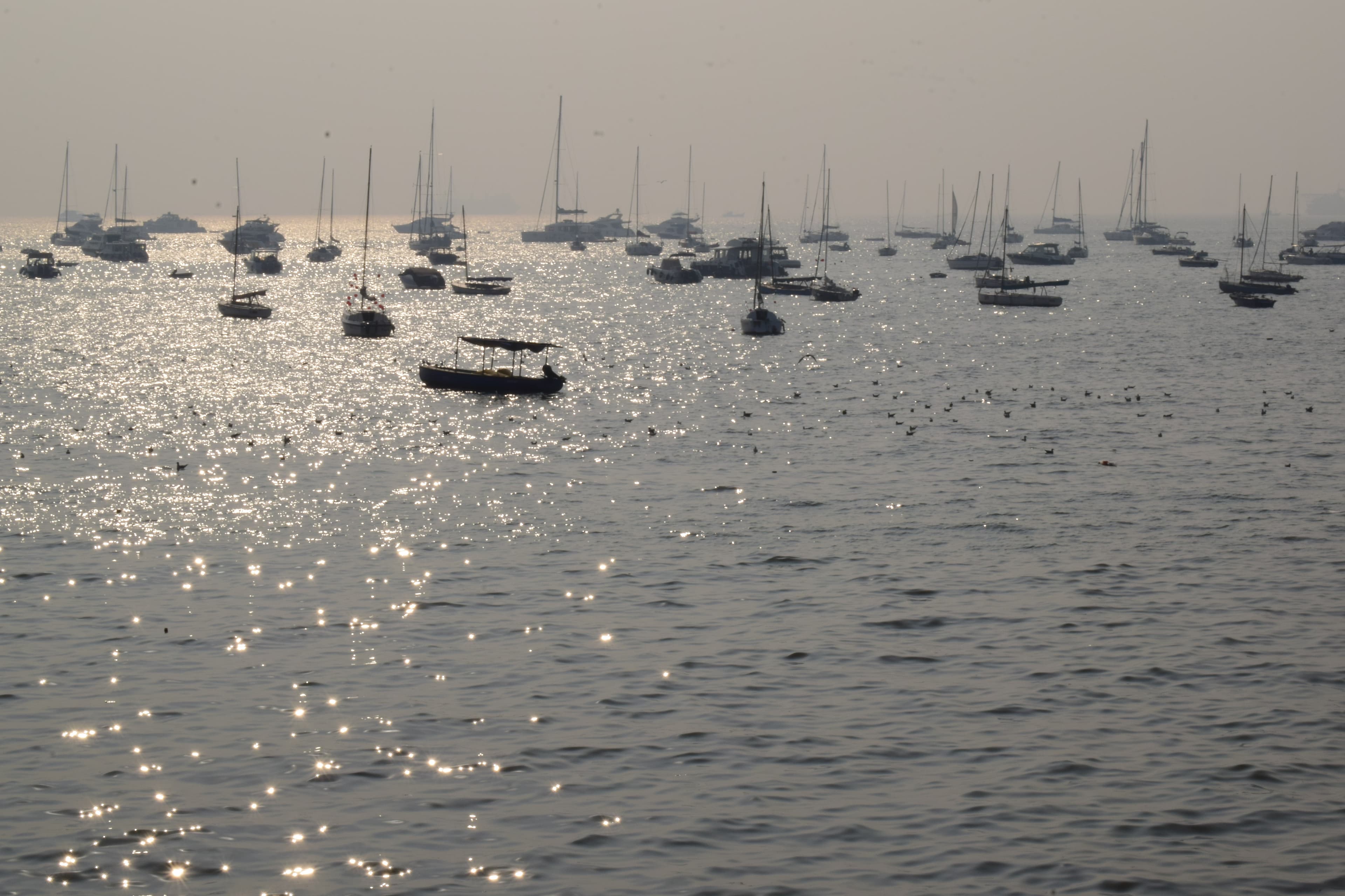 Sailboats on a Silver Sea